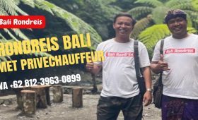 Rondreis Bali Met Privechauffeur