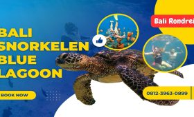 Bali Snorkelen Blue Lagoon