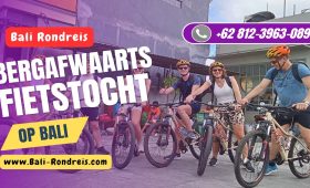 Bergafwaarts Fietstocht op Bali