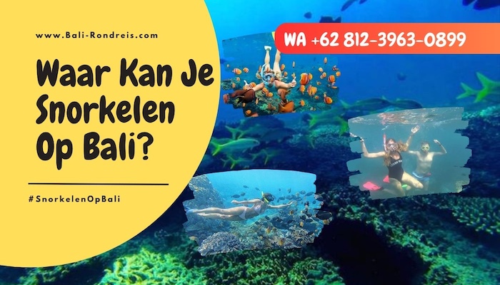 Snorkelen Op Bali