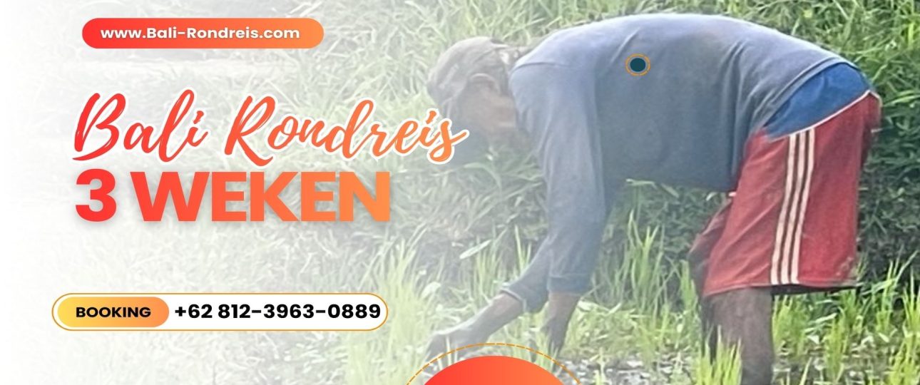 Bali Rondreis 3 Weken