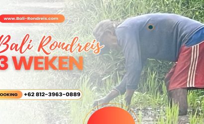 Bali Rondreis 3 Weken