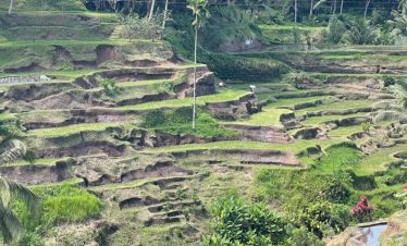 Balinese Cultuur En Ubud Tour