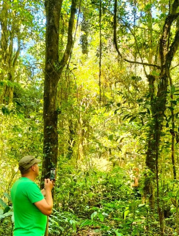 Jungle Wandeling Bali