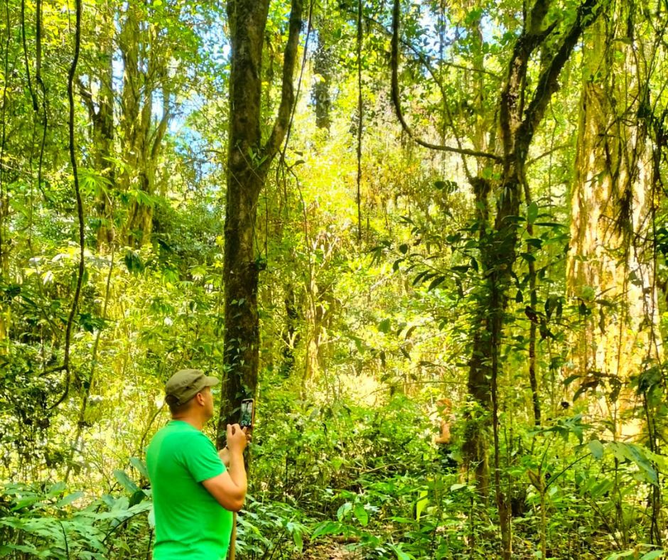 Jungle Wandeling Bali