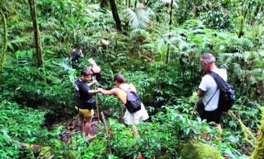 Jungle Wandeling Bali