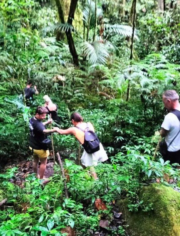 Jungle Wandeling Bali