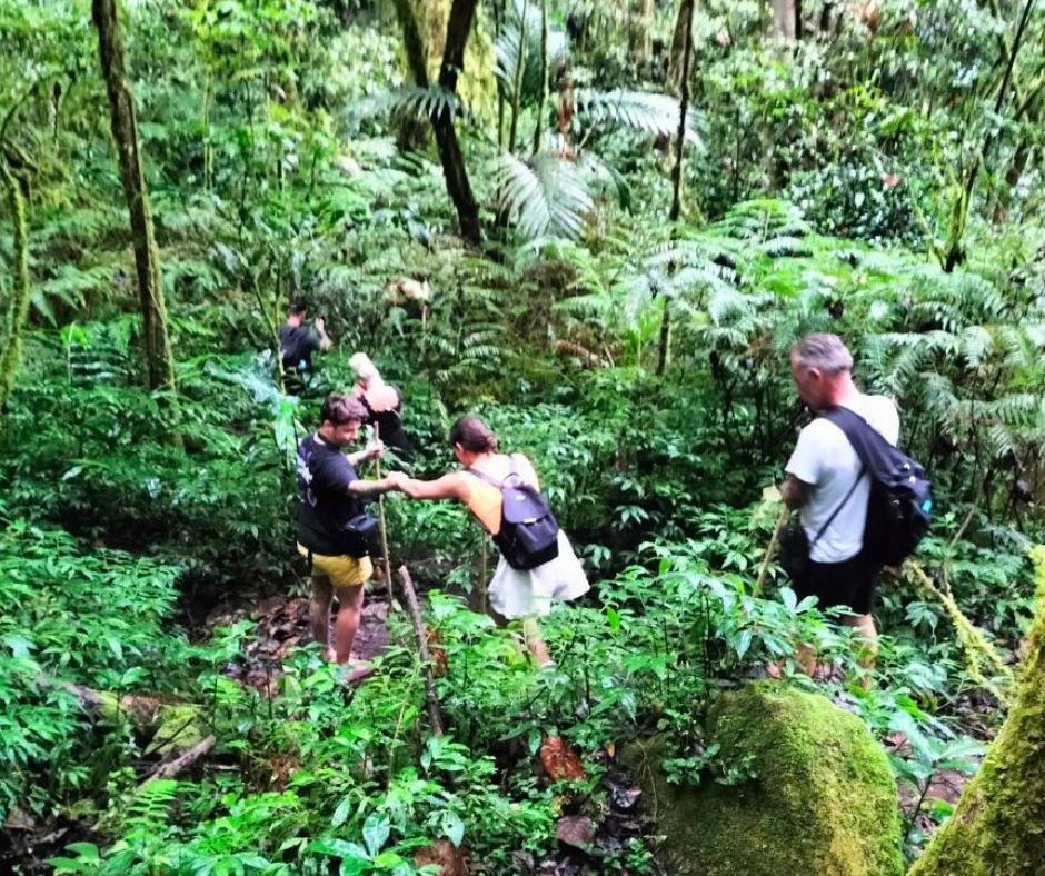 Jungle Wandeling Bali