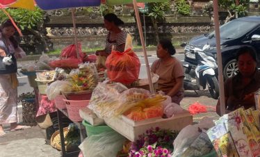 Rijstvelden Jatiluwih Bali Tour