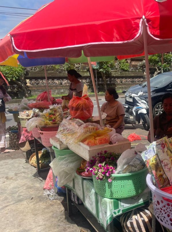 Rijstvelden Jatiluwih Bali Tour