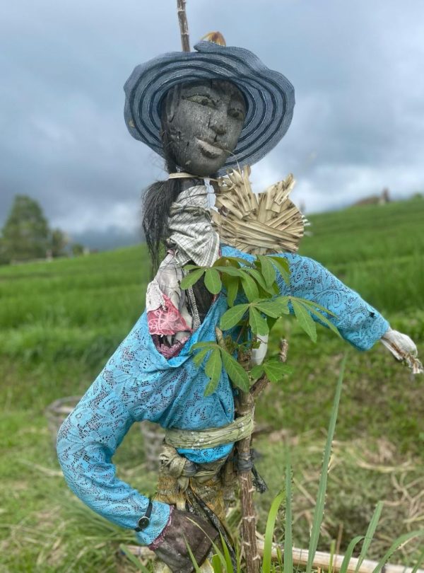 Rijstvelden Jatiluwih Bali Tour