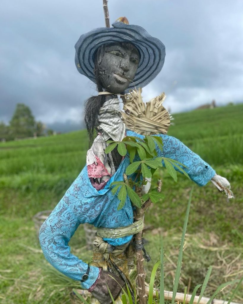 Rijstvelden Jatiluwih Bali Tour