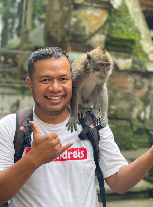 Rijstvelden Jatiluwih Bali Tour