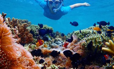 Rondreis Bali 14 Dagen