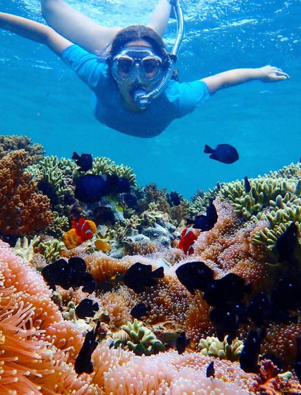 Rondreis Bali 14 Dagen