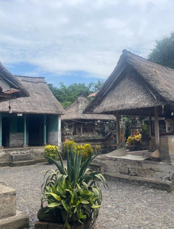 Rondreis Bali 21 Dagen