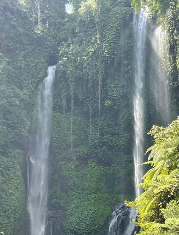 Rondreis Noord Bali 3 dagen