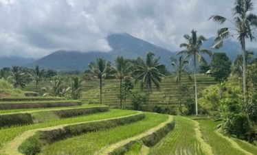 Rondreis Noord Bali