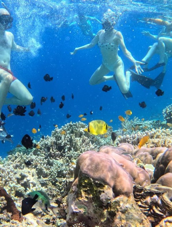 Rondreis West Bali 4 Dagen