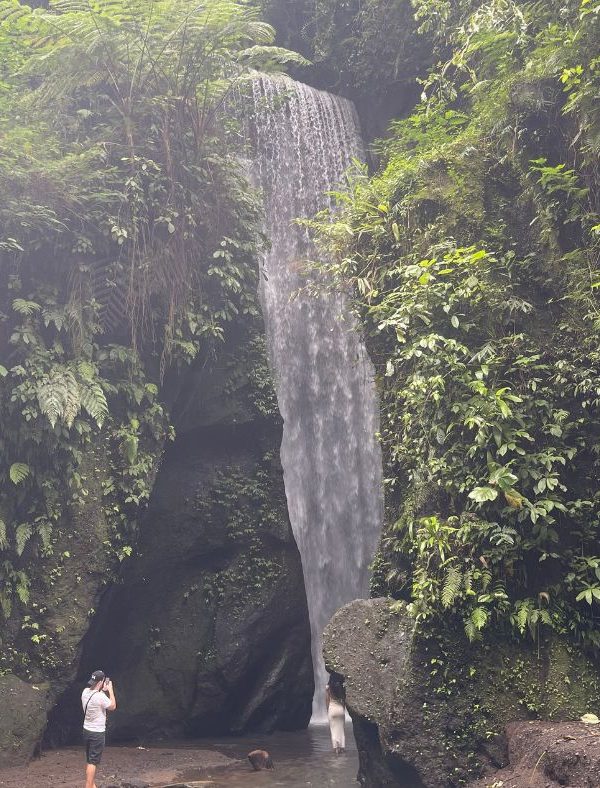 Waterval Tour Ubud