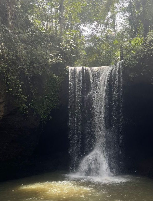 Waterval Tour Ubud
