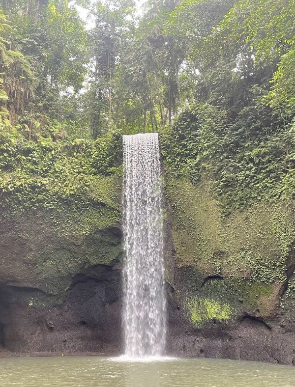 Waterval Tour Ubud