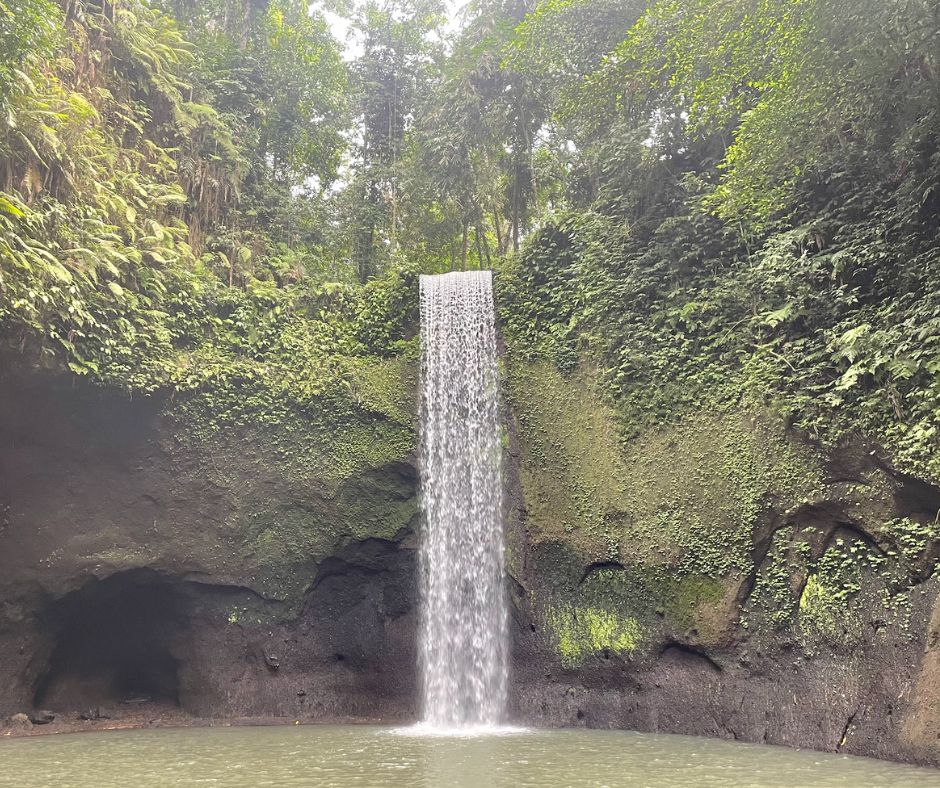 Waterval Tour Ubud