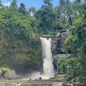 Waterval Tour Ubud