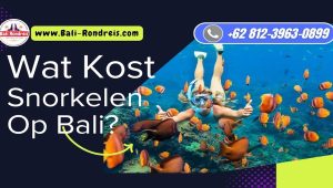 Wat Kost Snorkelen op Bali